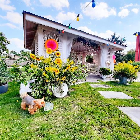 Pokoje Hotelowe Siedlczanka Siedlce Ngoại thất bức ảnh